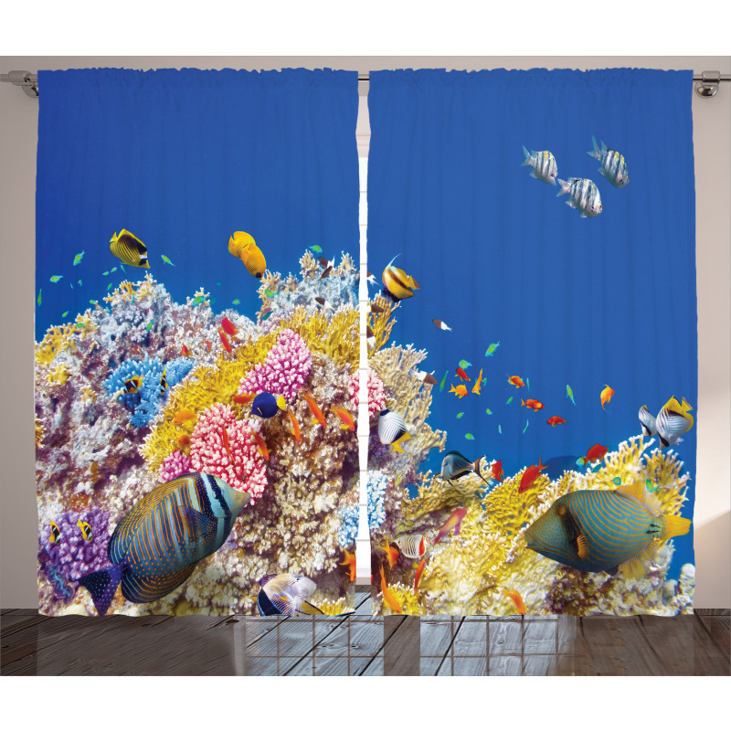 Tropical Corals Fish Curtain