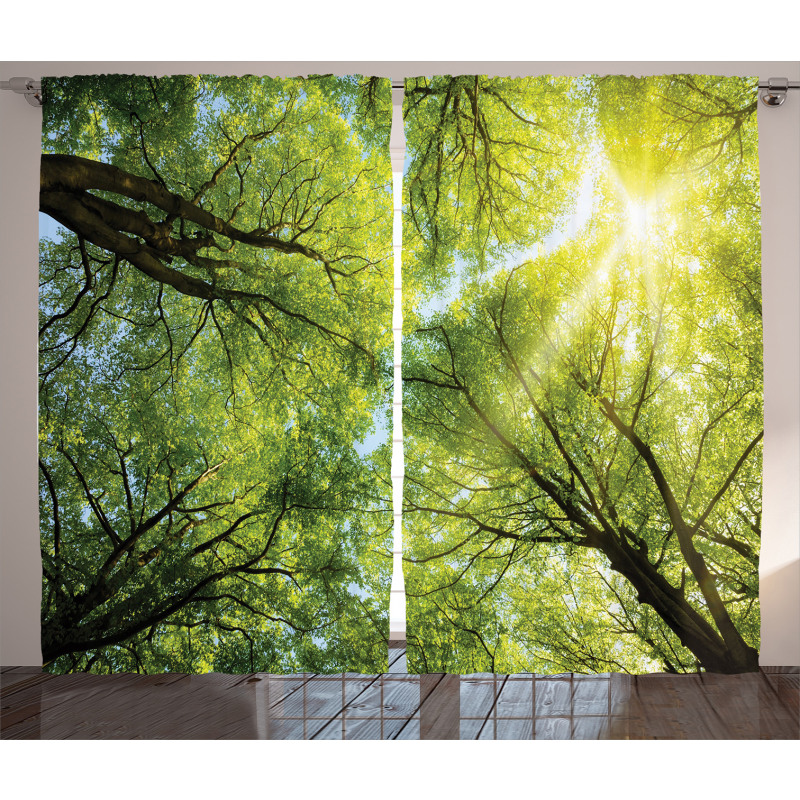 Romantic Beech Trees Curtain