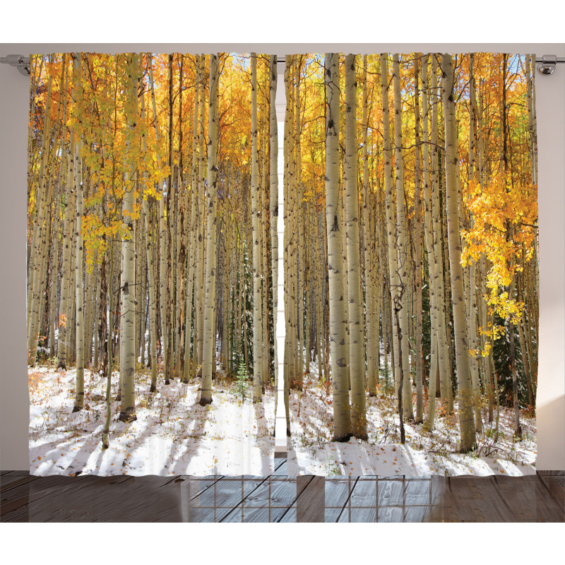 Aspen Tree Woods Scenery Curtain
