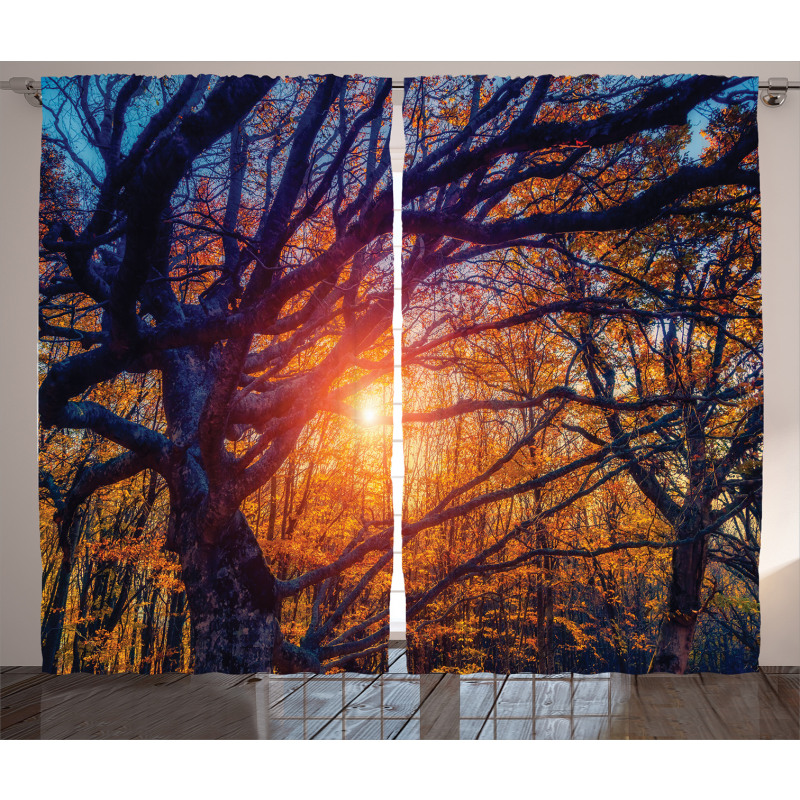 Majestic Trees Woods Curtain