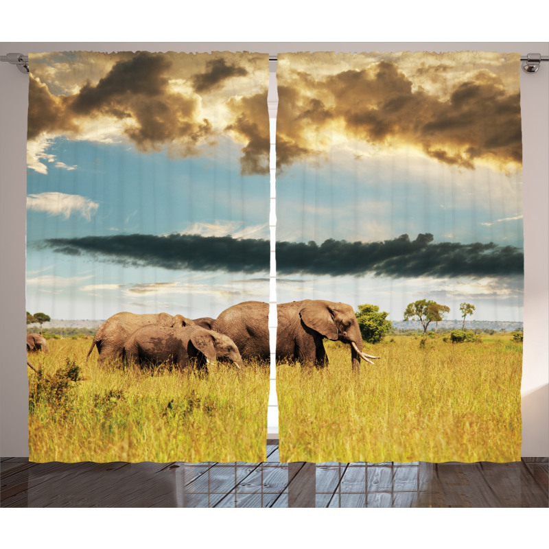 Elephant Family Photo Curtain
