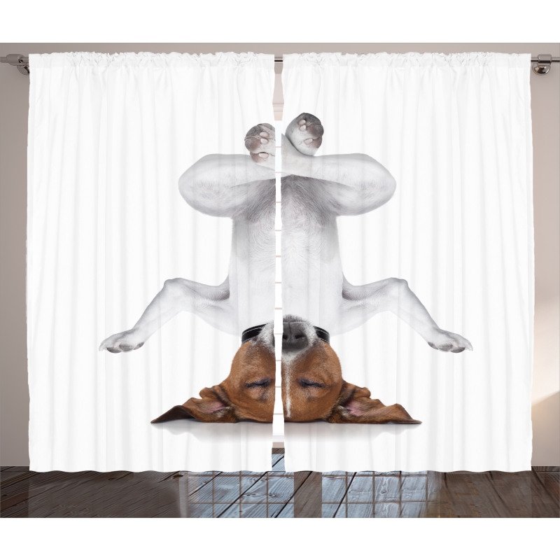 Dog Upside down Relax Curtain