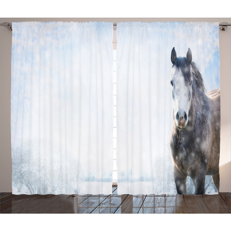 Grey Horse Snow Scenery Curtain