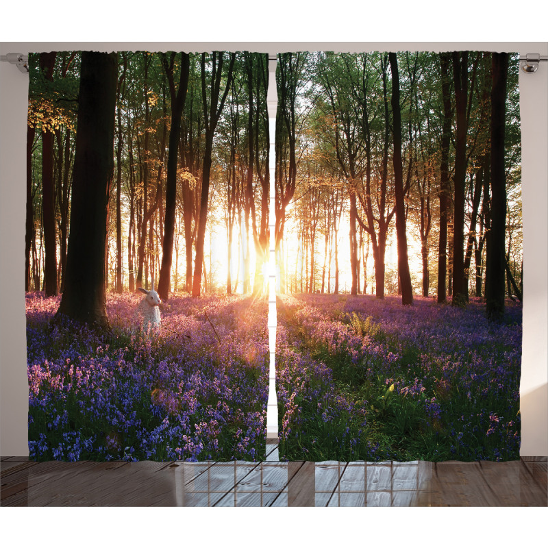 Sunrise Woods in Spring Curtain