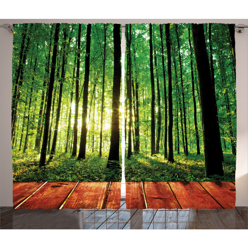Sunlight Forest Trees Curtain
