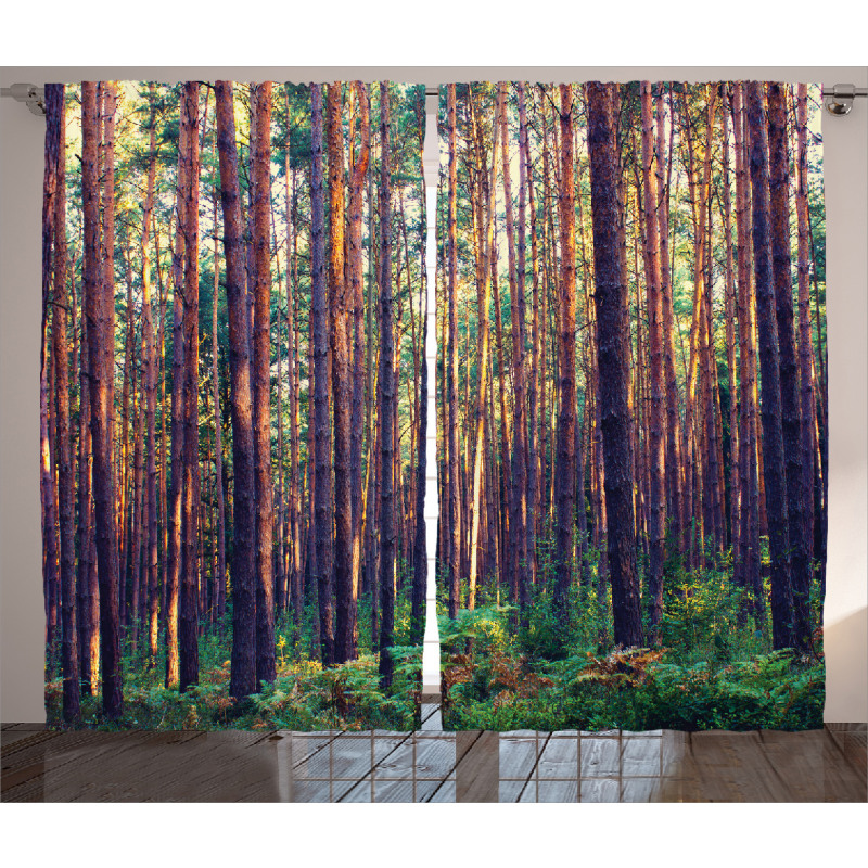 Fall Trees Forest Trunks Curtain