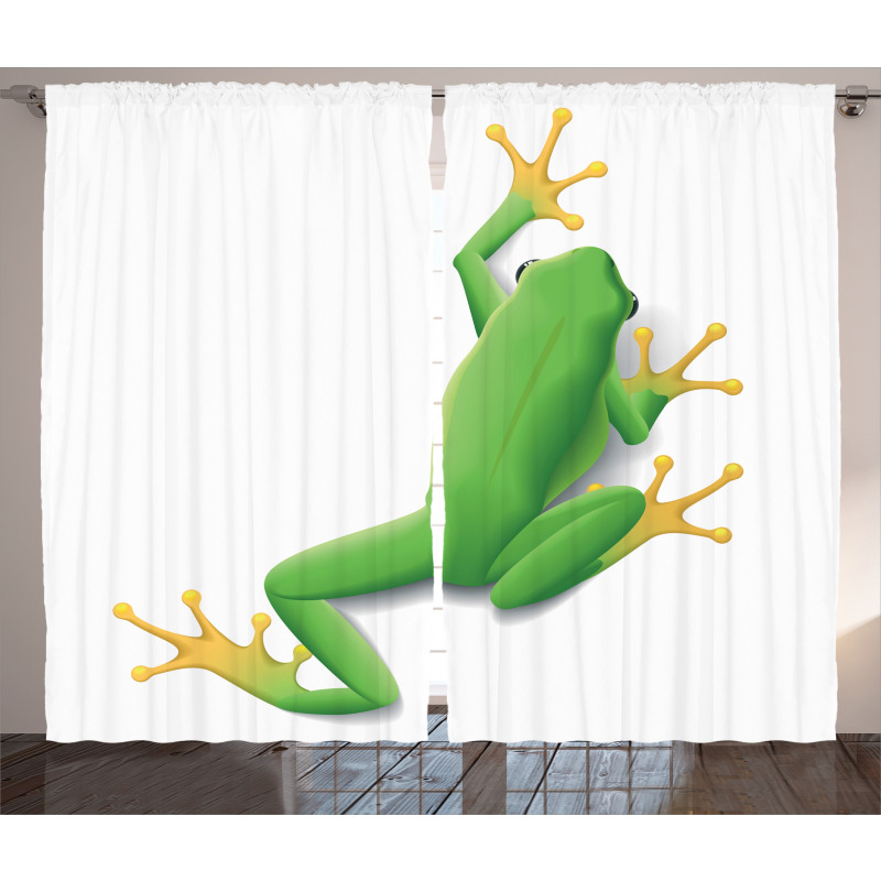 Tropic Frog in Nature Curtain