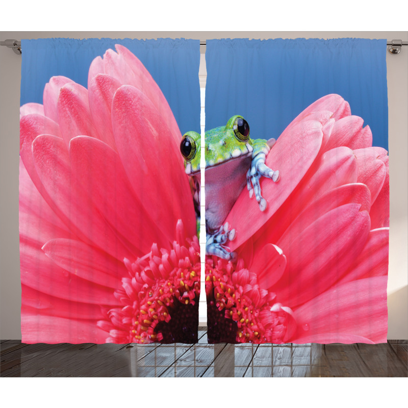 Frog on Gabera Flower Curtain