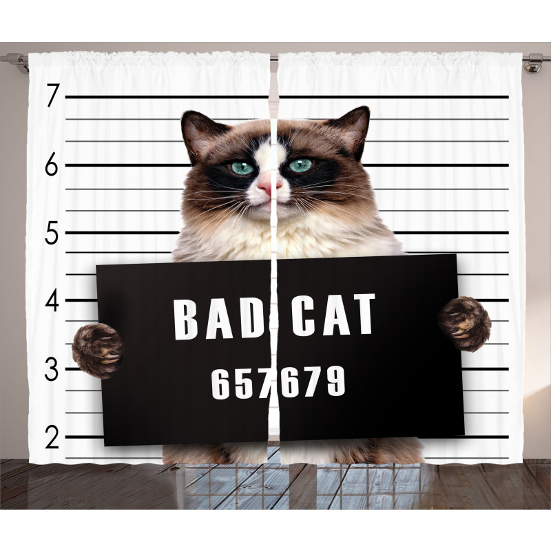 Jail Kitty Under Arrest Curtain