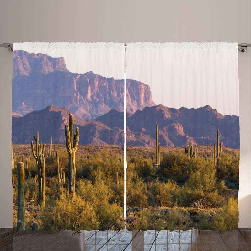 Cactus Mountain in Spring Curtain