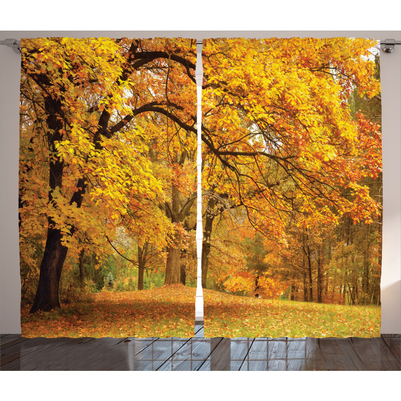 Fall Pale Maple Trees Curtain