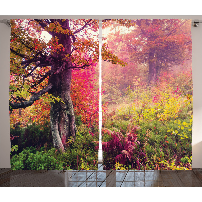 Majestic Autumn Trees Curtain