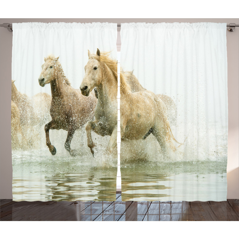 Camargue Horses in Water Curtain