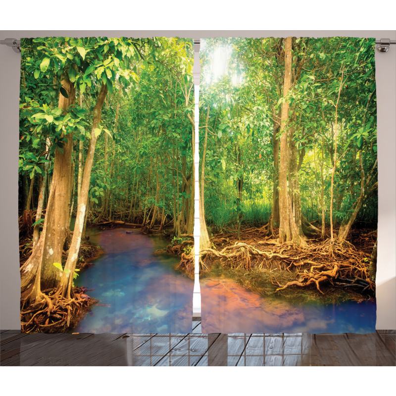 Roots of Mangrove Trees Curtain