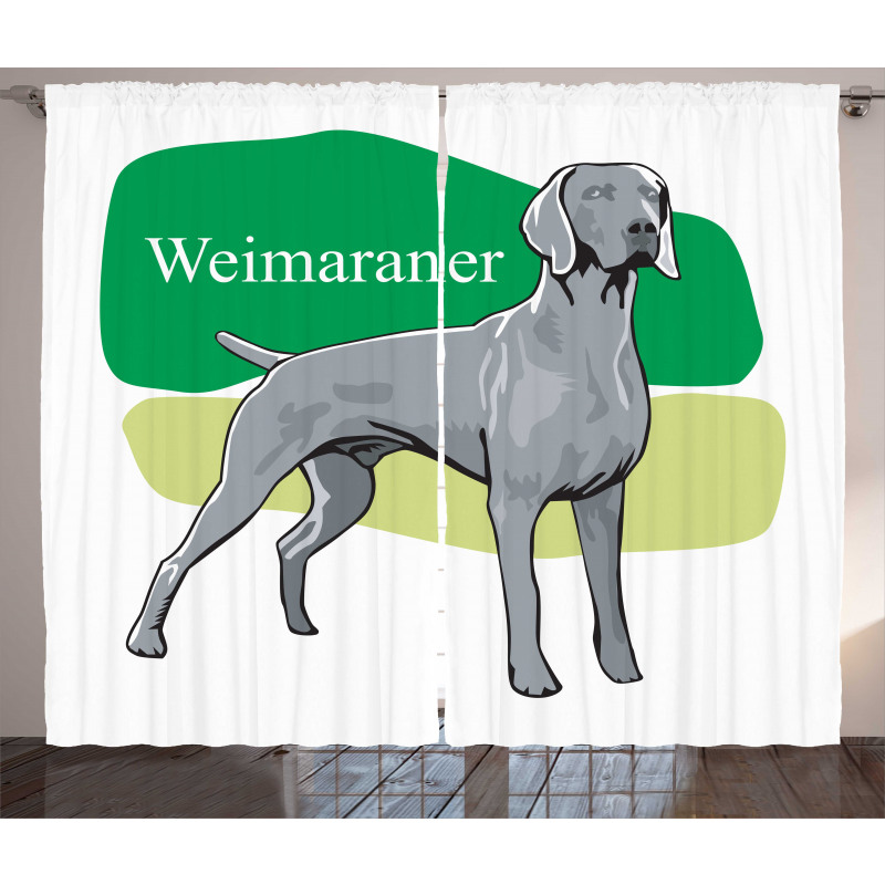 Hayvan Perde Avcı Weimaraner Türü Köpek İlüstrasyonu