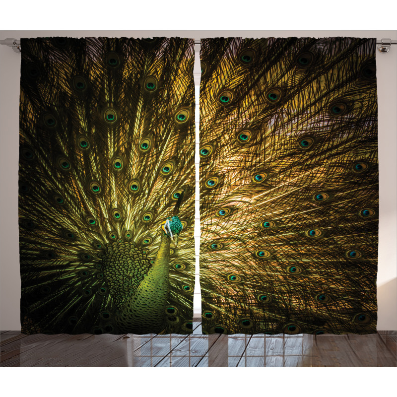 Exotic Dark Feathers Curtain