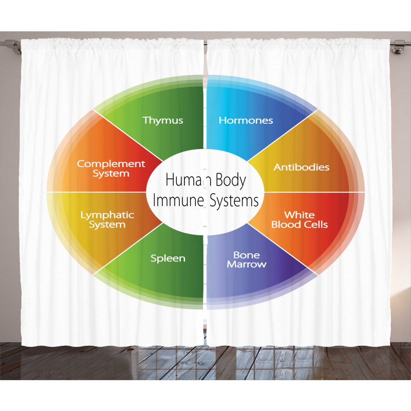 Eğitici Perde İnsan Vücudu Bağışıklık Sistemi Çizelgesi