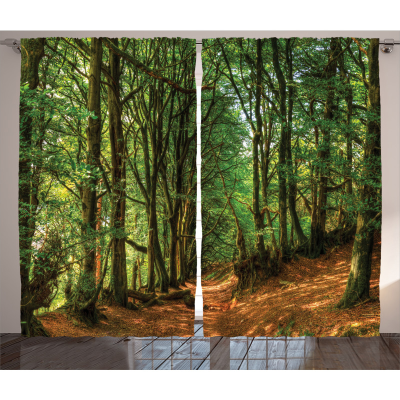 Woodland Pathway Scene Curtain