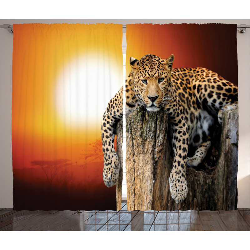 Safari Leopard on Tree Curtain
