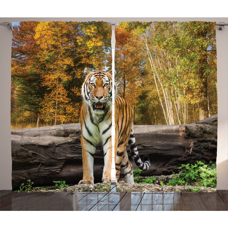 Tiger in Forest Curtain