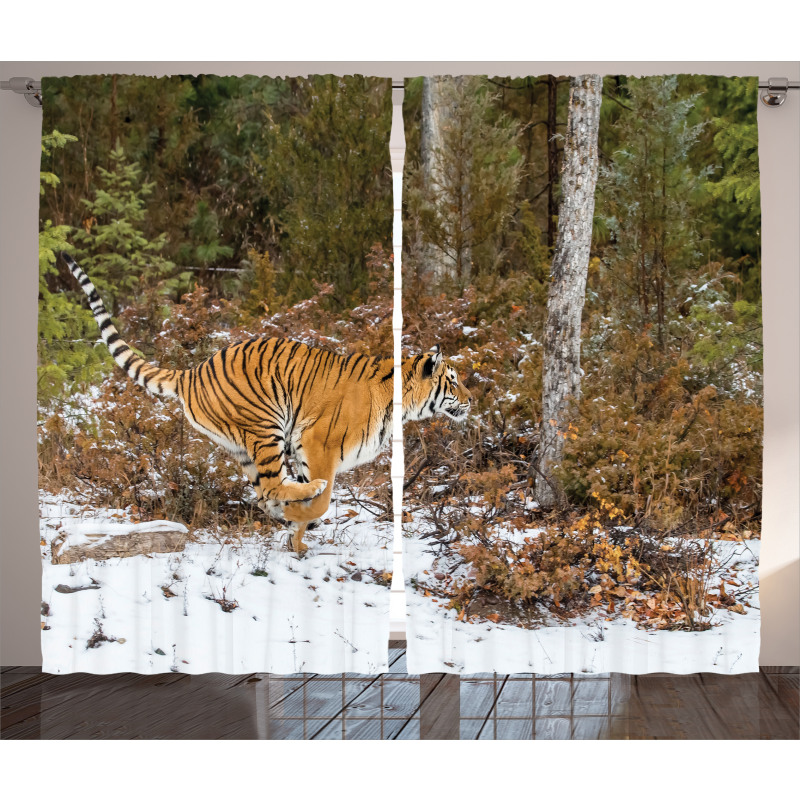 Bengal Tiger Wild Animal Curtain