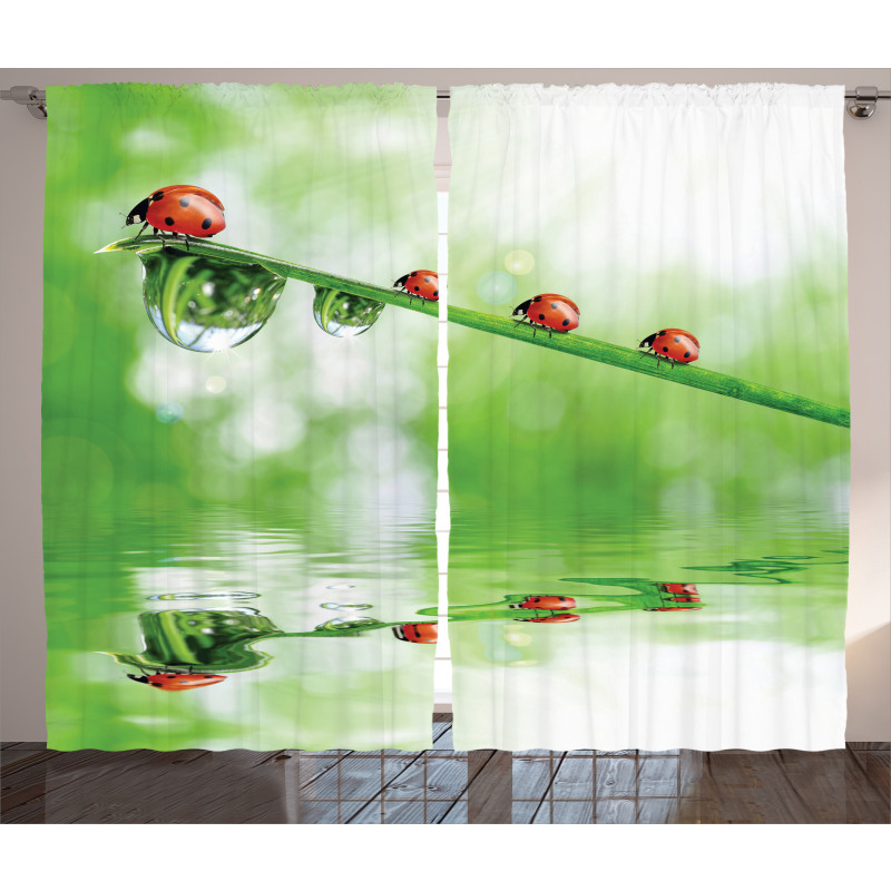 Ladybug on Water Image Curtain