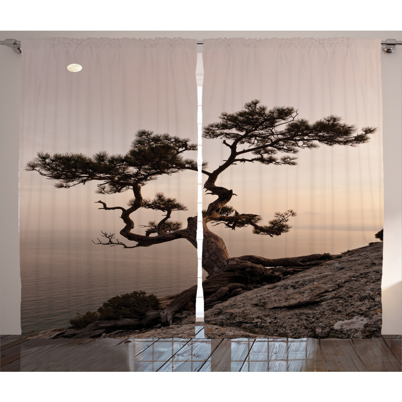 Lonely Juniper Tree Fall Curtain