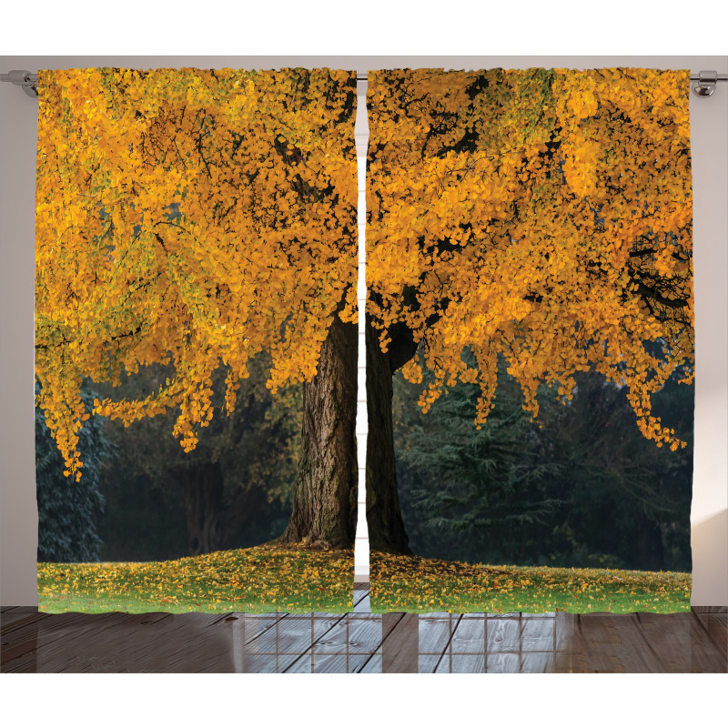 Leaves Tree Autumn Season Curtain