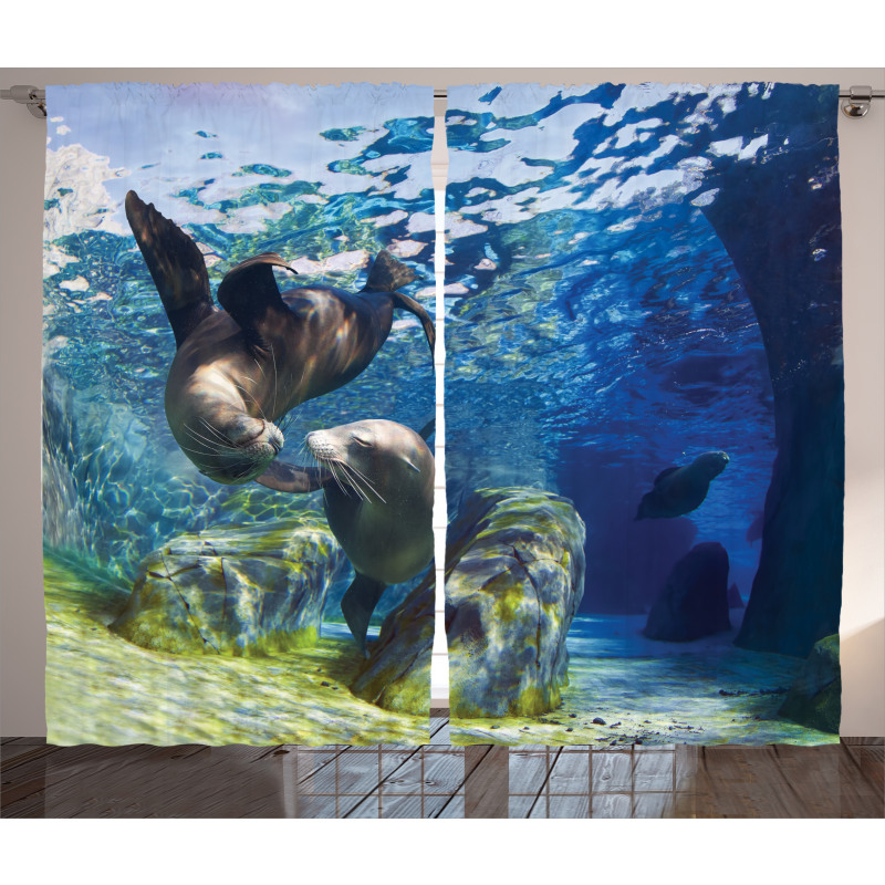 Playful Sea Lions Curtain