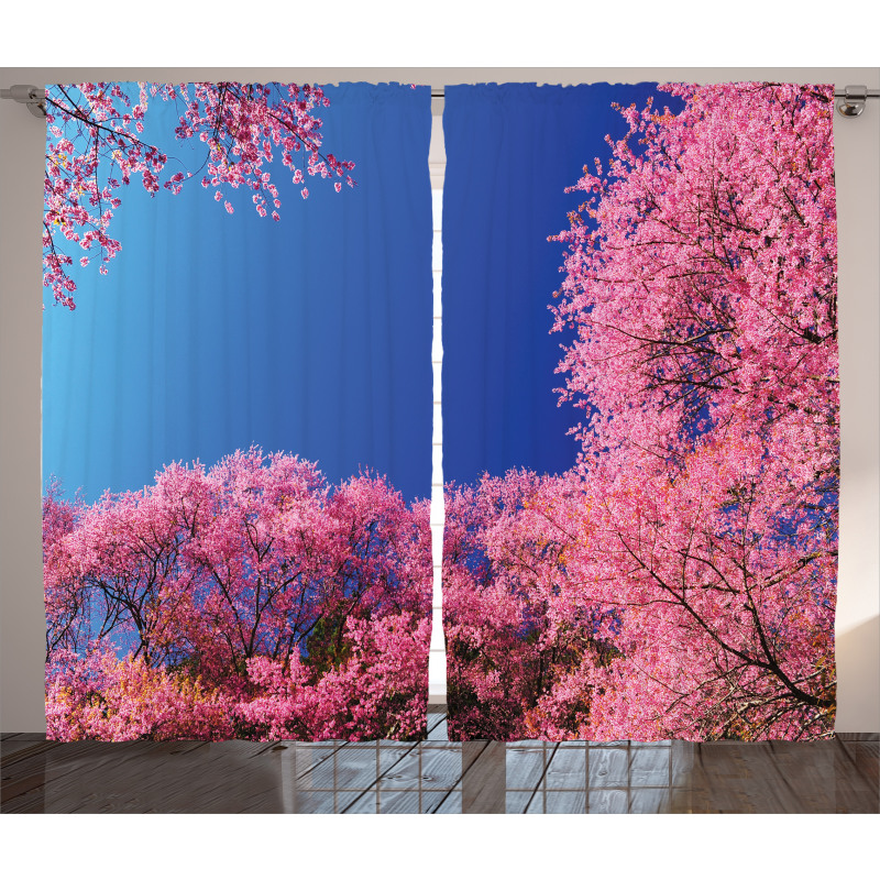 Cherry Blossom Trees Curtain