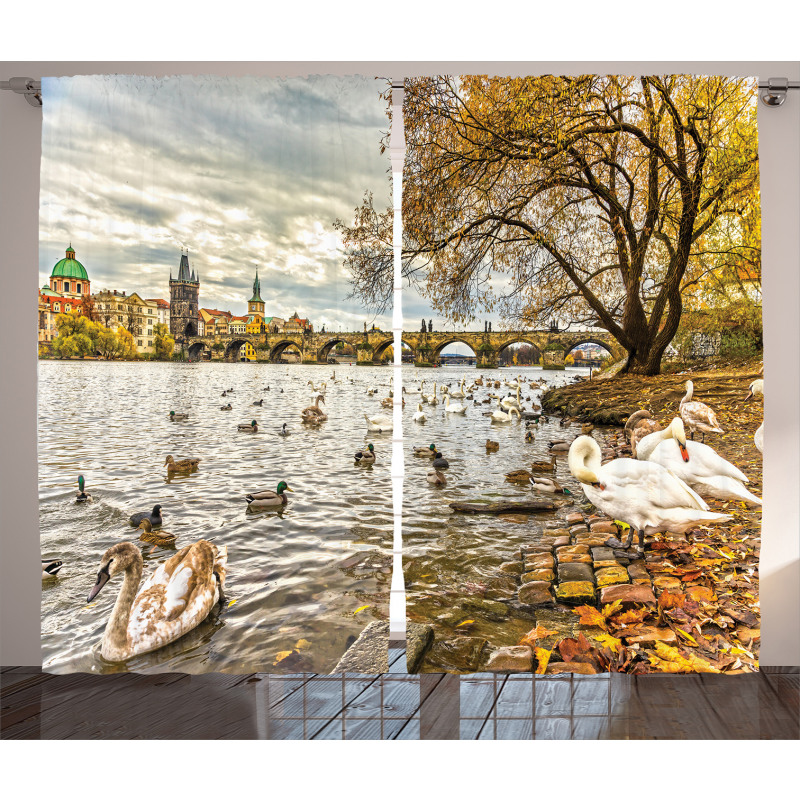 Swimming Swans in River Curtain