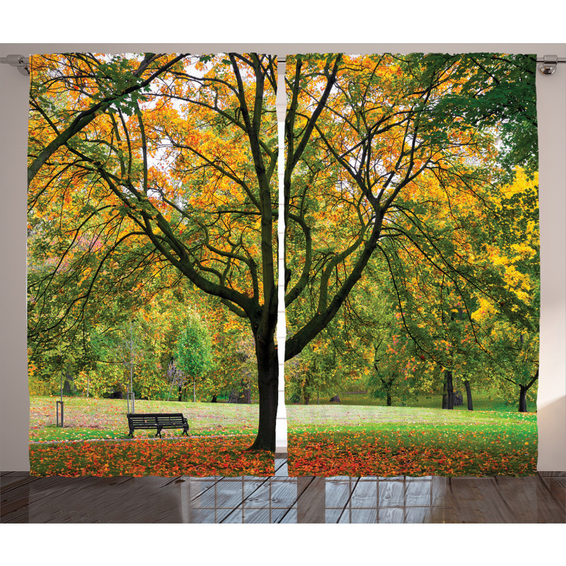 Autumn Park Leaves Nature Curtain