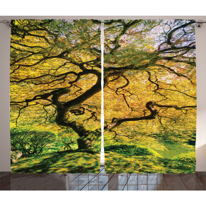 Large Maple with River Curtain