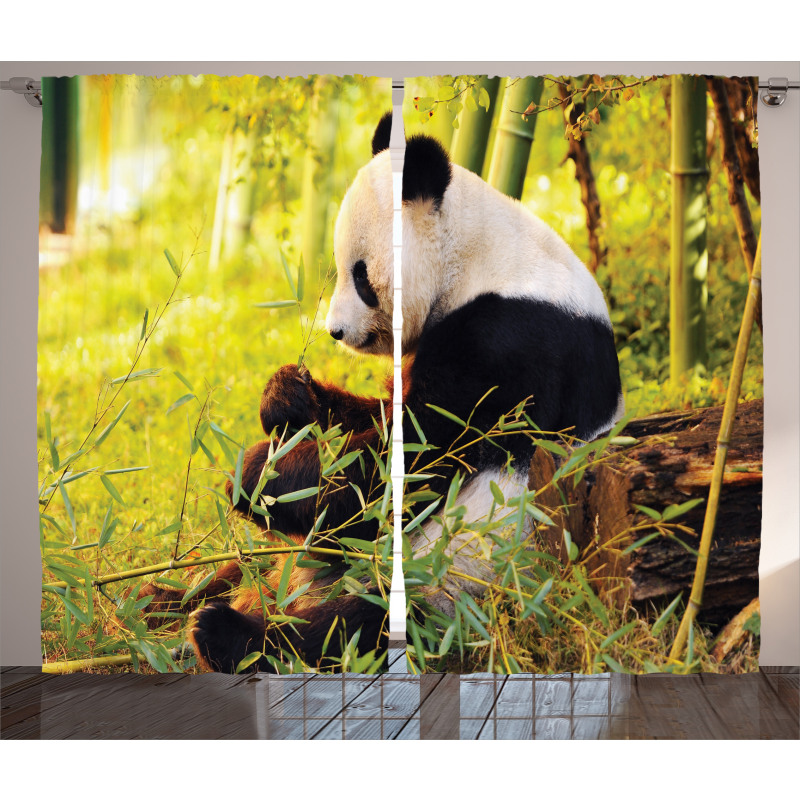 Panda Sitting in Forest Curtain