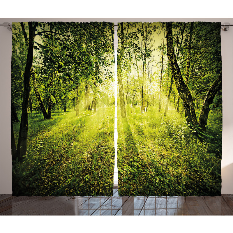 Scenic Morning in Nature Curtain