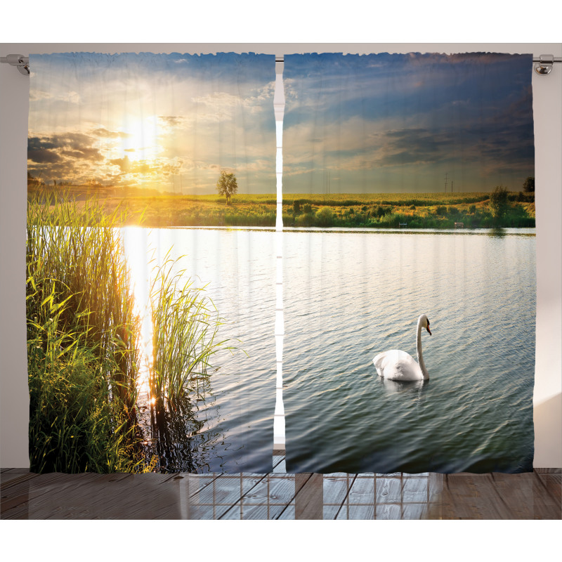 Swan in River at Dawn Photo Curtain