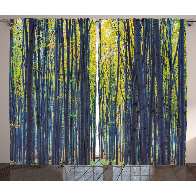 Autumn Woodland Nature Curtain