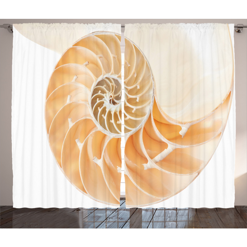 Curves Helix Design Curtain