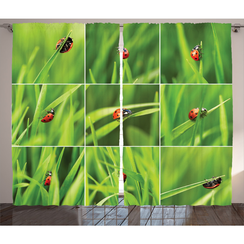 Ladybug over Fresh Grass Curtain