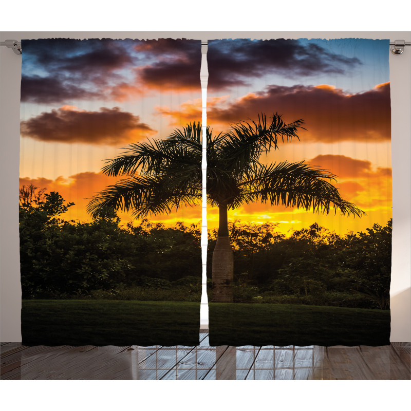 Exotic Tree at Sunset Curtain