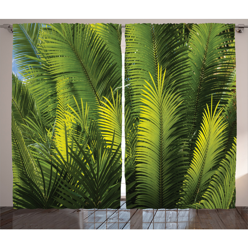 Palm Trees Exotic Curtain