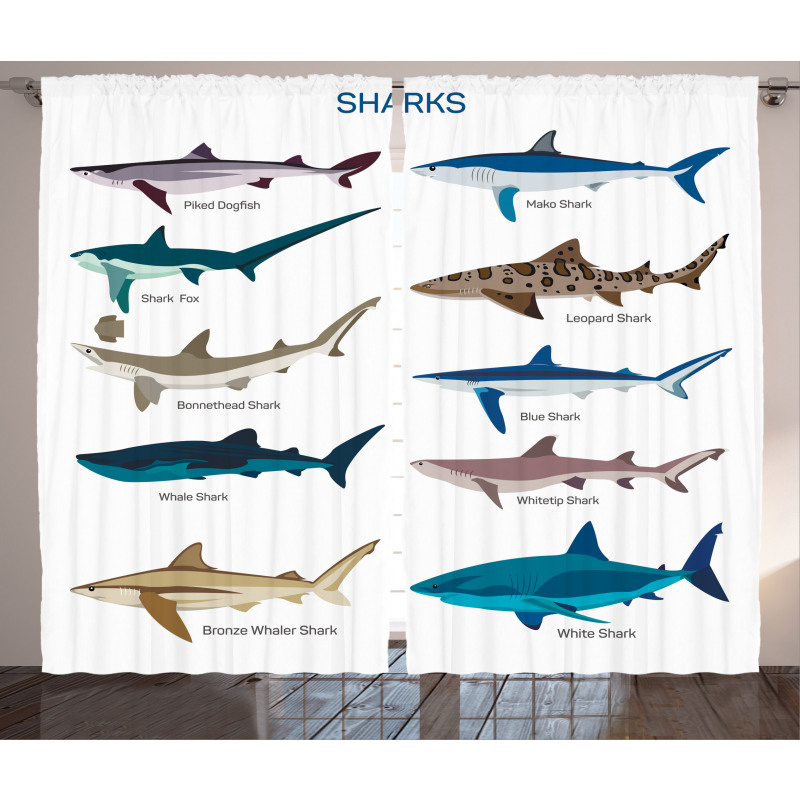 Cartoon Shark Types Wild Curtain