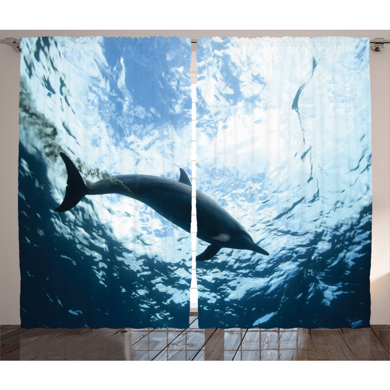 Swimming Dolphin Curtain