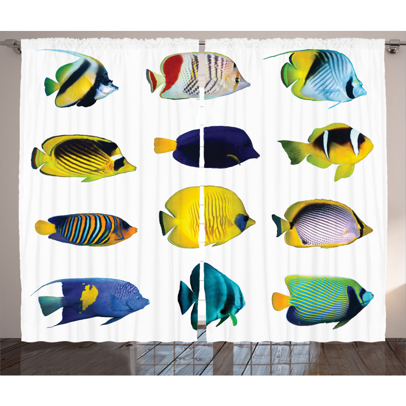 Collage of Sea Animals Curtain