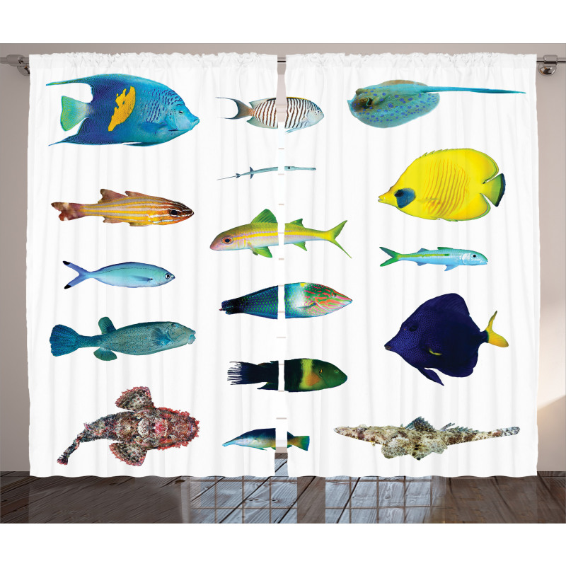 Marine Life Creatures Curtain