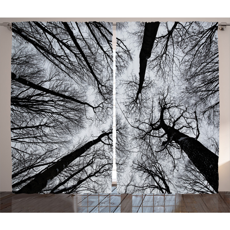 Dark Winter Forest Tree Curtain