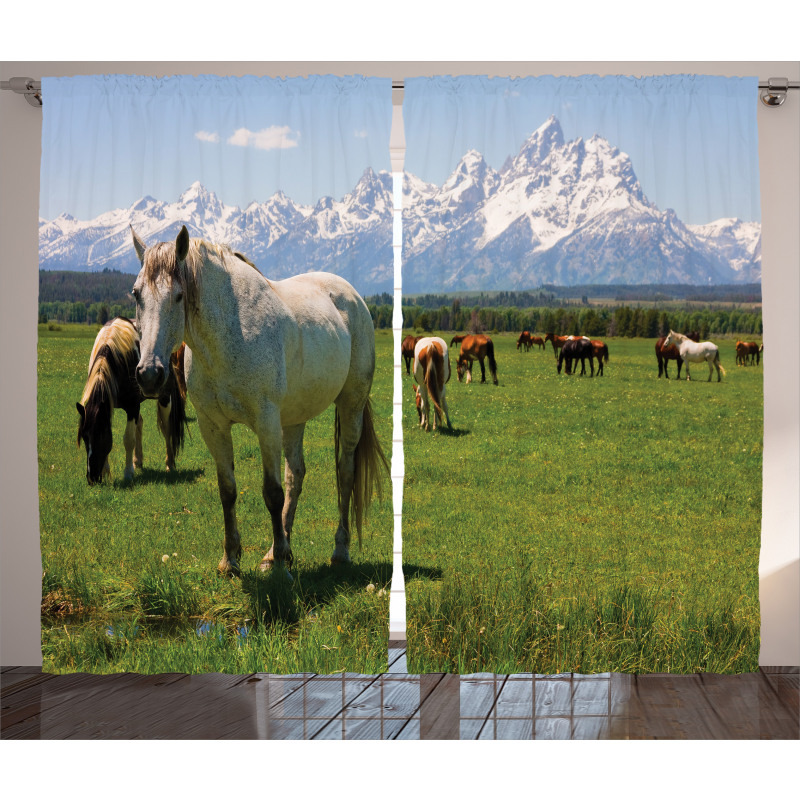 Horses Curtain