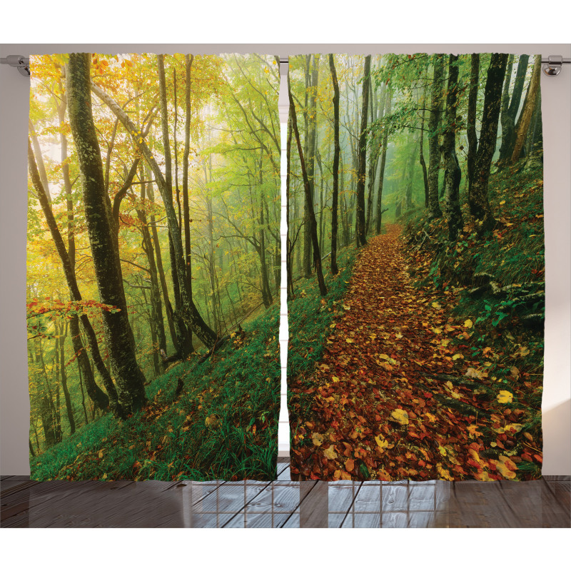 Forest Path View Curtain