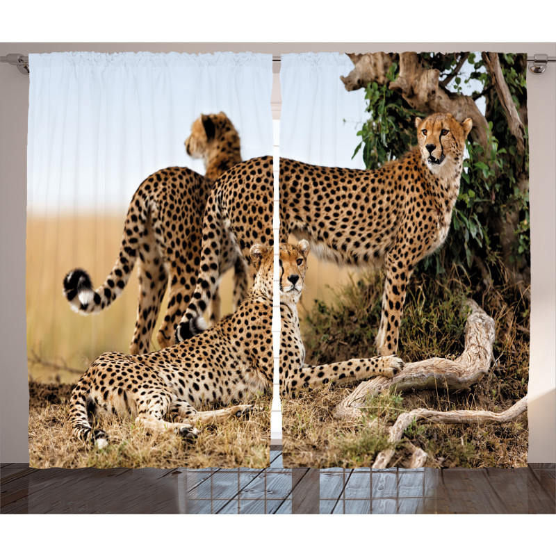 Safari Animal Cheetahs Curtain