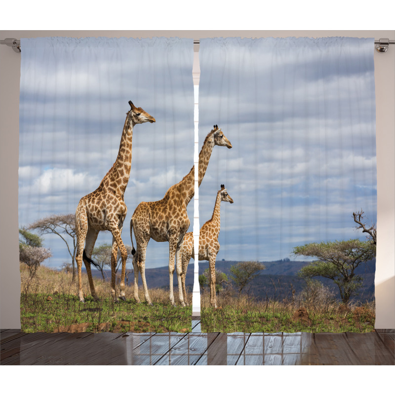 Giraffe Family Curtain